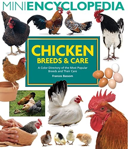 Mini encyclopedia chicken - mini,