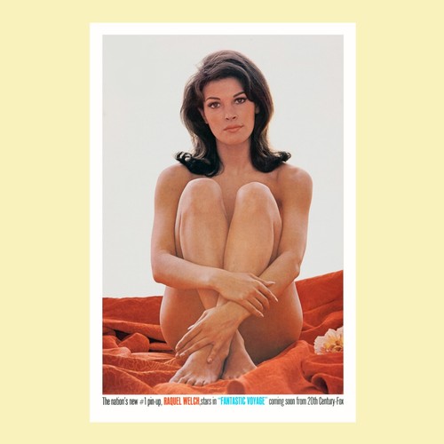 Raquel welch fantastic voyage - raquel,