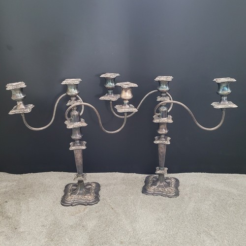 Pair large silver plate - pair, on