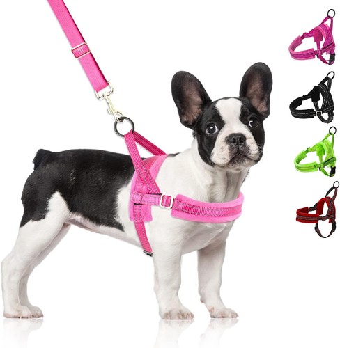 Dog harness medium pull - harness,