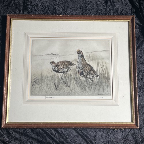Henry wilkinson signed ltd - wilkinson,,