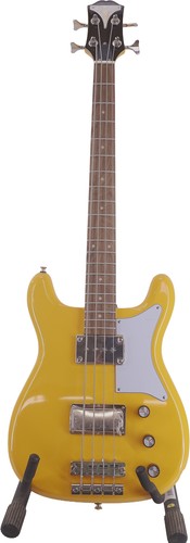 Damaged epiphone newport bass - newport,