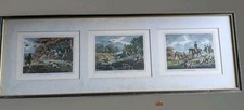 3 Matching Framed Howitt Hand Coloured Hawking Etchings From 1799-1800