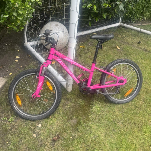 Specialized hotrock 20in pink - specialized,