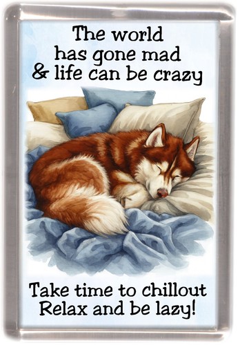 Siberian husky dog - siberian, fridge