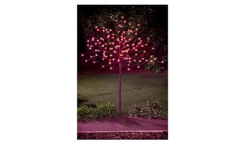 4ft cherry blossom - 4ft, red