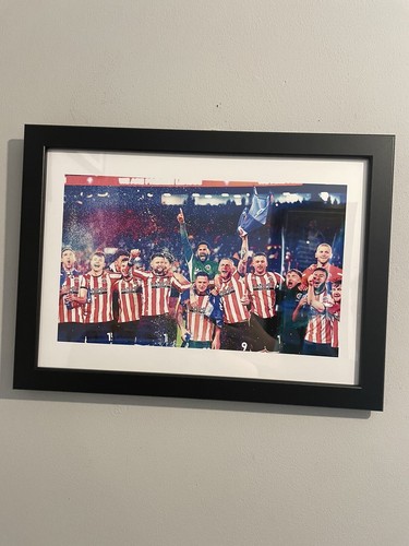 Sheffield united promotion - sheffield,
