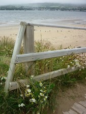 Photo A2 Magilligan Point Greencastle/C6439 Beach at Magilligan Point,  c2013