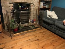 fire guard extendable