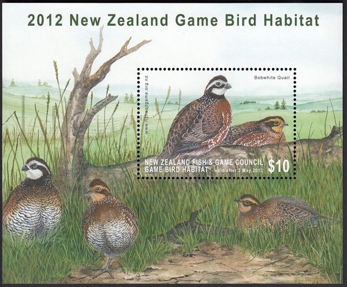 New zealand 2012 - zealand, game
