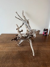 Driftwood Piece loose spira  rootbranch. tree Bogwood  for  vivarium, or Display