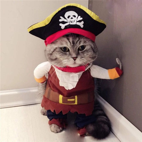 Funny pet clothes - pet,