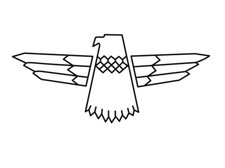 Gibson Thunder bird Guitar