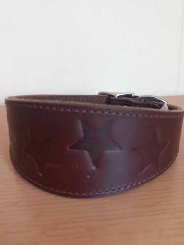 Brand new 4doggies star - new,