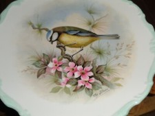 Royal Albert Collectors Plate BLUE TITMOUSE From THE WOODLAND BIRDS COLLECTION