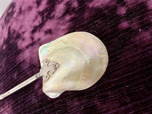Mother pearl serving - of, spoon