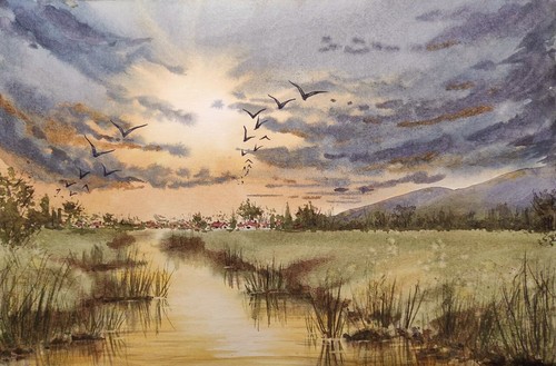 Geese flying cloudy - geese, sky