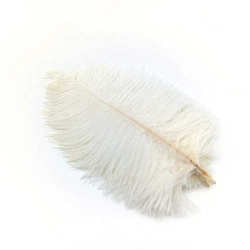10pcs ostrich feathers plumes - ostrich,