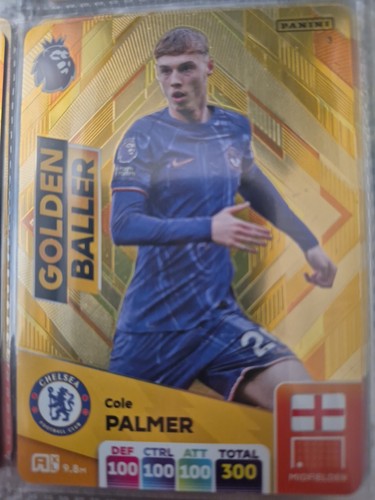 Panini adrenalyn premier - xl,