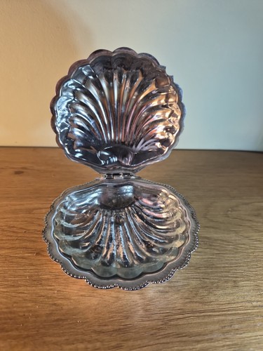 Vintage clam shell - clam, and