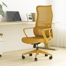 Modern Executive Mesh Office