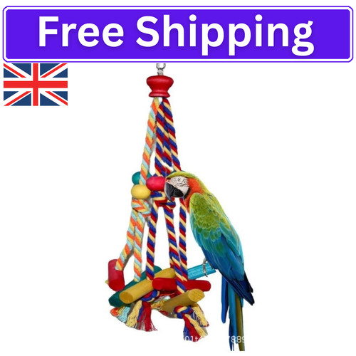 Bird toys parrot for - parrot,