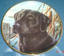 Lovely Franklin Mint Labrador 8 Inch Plate MANS BEST FRIEND