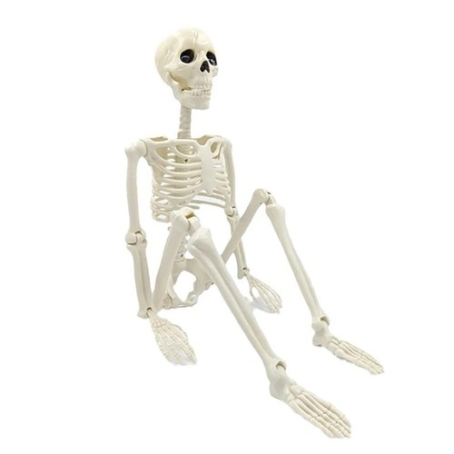 Halloween decorations - halloween,