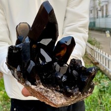 7.4LB Large natural smoky