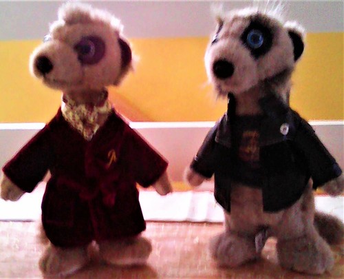 Compare the market - compare, meerkats