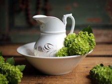 Antique French Jug & Wash Bowl