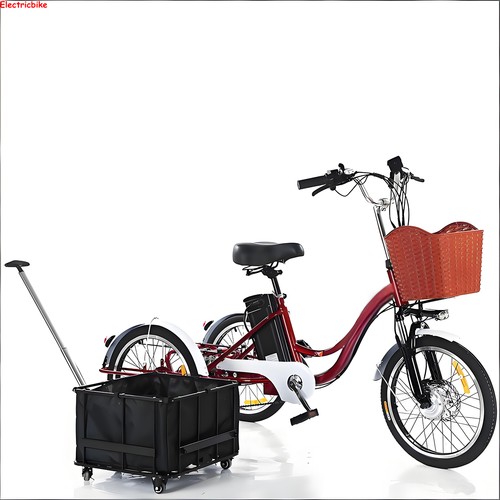 Electric tricycle 48v 13a - electric,