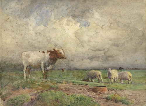 John pedder - john, (1850-1929)