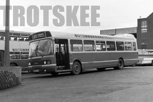 35mm black and white negative - white,