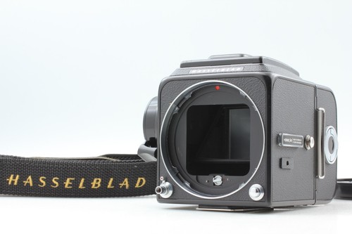 Mint strap hasselblad - w/,