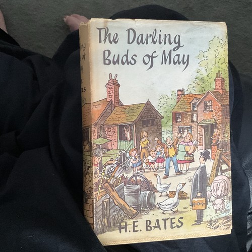 The darling buds may book - the,
