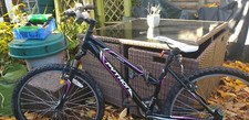 teenager girls bike used but in good condition. Will need two new tyres and tlc
