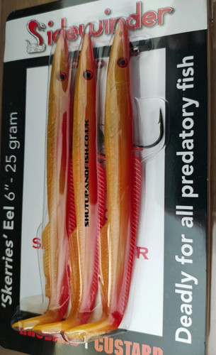 Sidewinder skerries eel - sidewinder,