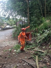 Tracked Chipper and Operator