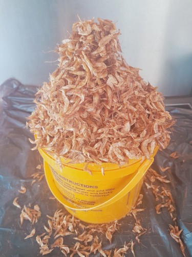 Whole fresh oron crayfish - fresh,