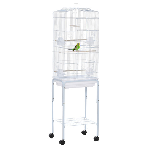 Bird cage with - bird,