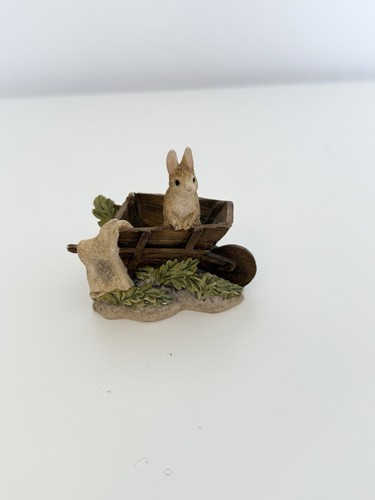 Beatrix potter peter rabbit - rabbit, in