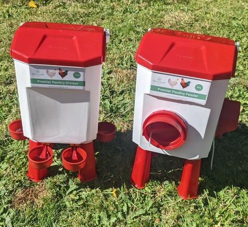 Chicken poultry feeder drinker - chicken,