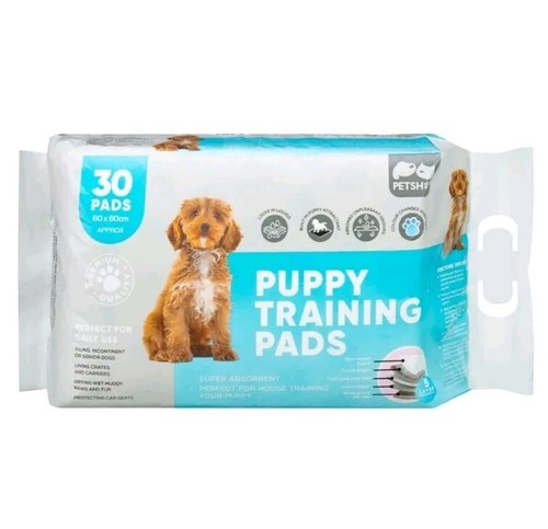 Quilted puppy dog - puppy, training