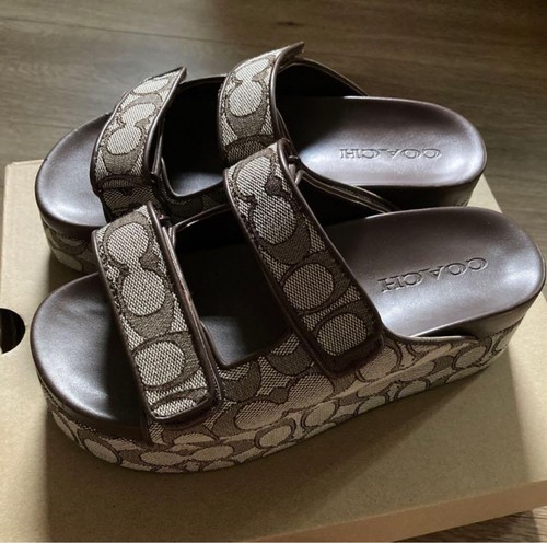With box coach signature brown