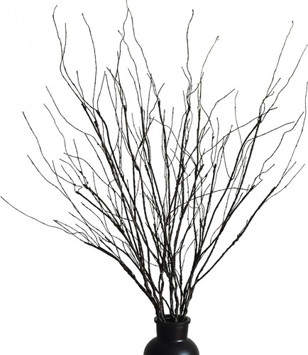 Pcs artificial twigs curly - 10,