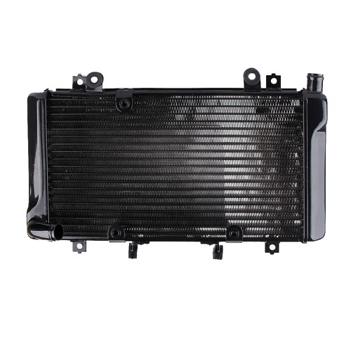 Radiator grille guard - radiator,