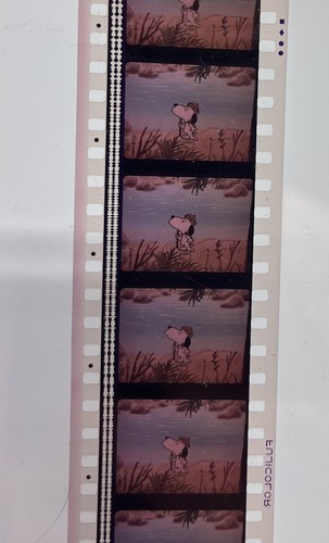 Charlie brown peanuts - charlie, brown.
