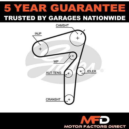 Gates timing belt 55183528 - belt,