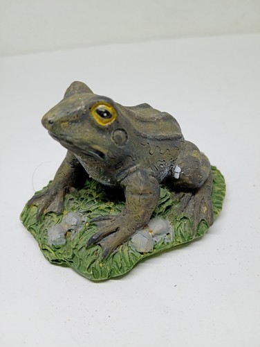 Life size frog looks - life,